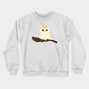 All I need is a Barn owl and a Broom Crewneck Sweatshirt